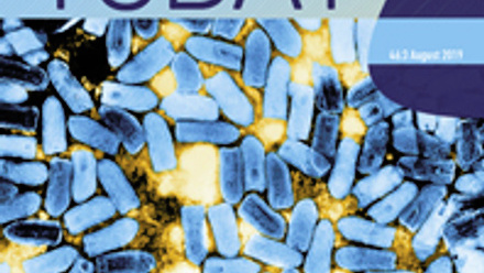 Cover of Microbiology Today magazine with rod shaped bacteria