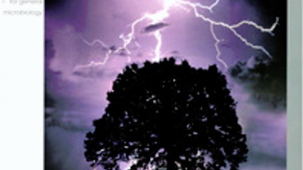 Cover of Microbiology Today, issue of November 2006