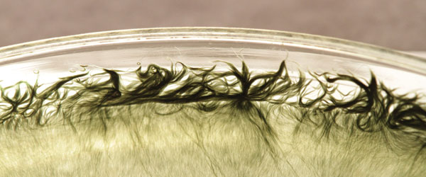 MT Aug 2013 Park Fig 4