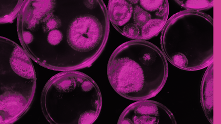 Branding used for Access Microbiology