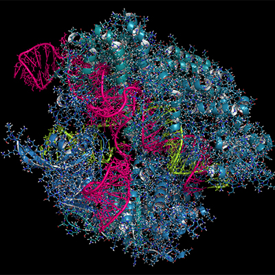 MT-May-20-Microbiology-and-genetics-2.jpg 1