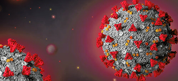 Alberto-D-Lopez-Munoz-case-study.jpg 1