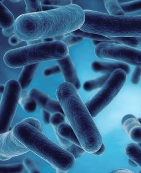 3D illustration of bacteria floating in a blue environment.