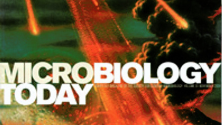 Cover of Microbiology Today, issue of November 2004