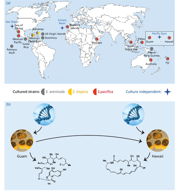 MT Aug 2013 Jensen Fig 2