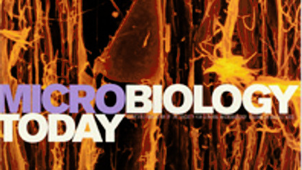 Cover of Microbiology Today, issue of August 2003