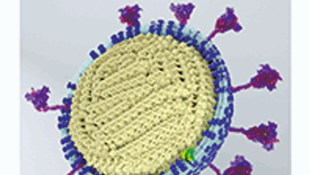 Cover of Microbiology Today, issue of October 2021