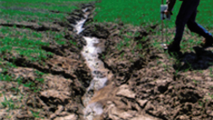 MT May 2015 ecology diseases soil erosion