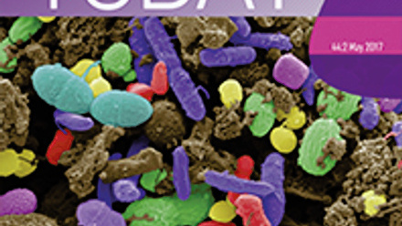 Cover of Microbiology Today, issue of May 2017