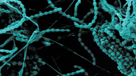 journal-image-220x220 (1).png