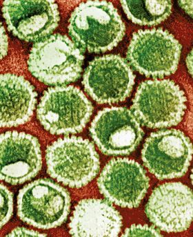 Colourful microscopic image of molecules in a cell.