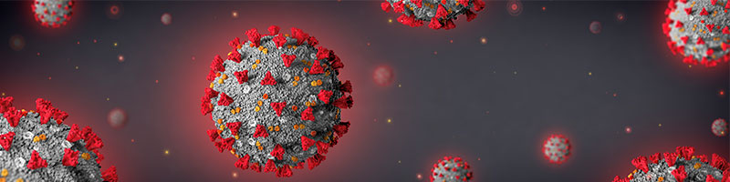 SARS-CoV-2 viruses with glowing red nucleocapsid proteins, on a grey background.