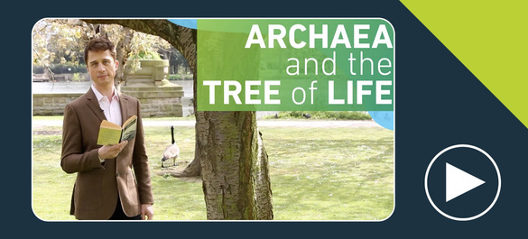 Thumbnail of a video on archaea and the tree of life