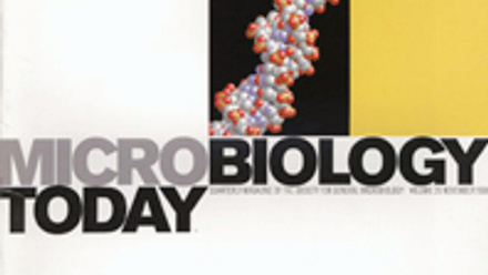 Cover of Microbiology Today, issue of November 1999
