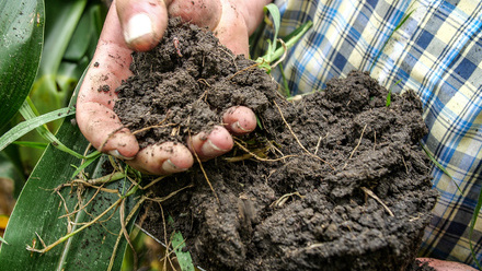 Soil microbiome pic.jpg 3
