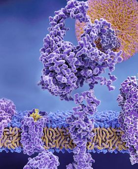 Microscopic illustration of a cell structure in light blue background.