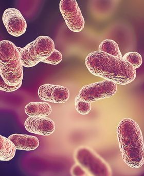 Microscopic image showing multiple red/pink particles scattered on a dark background.