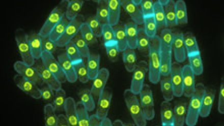 BYG-2022---photo-credit-Scott-Curran-220x220.jpg 1