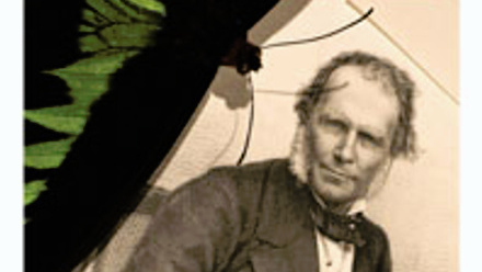 Cover of Microbiology Today, issue of August 2013