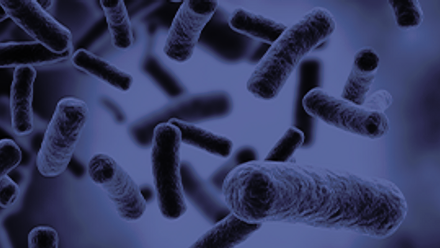 Microbiology 335x152.png