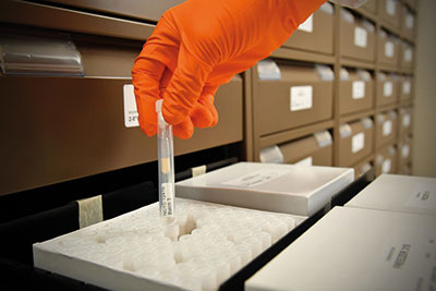 Hand in orange glove handling a pipette