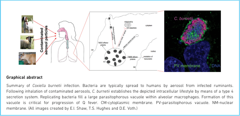 Screenshot 2019-08-01 at 13.52.29.png