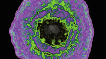 MT Feb 2013 Turner Taylor C0129694