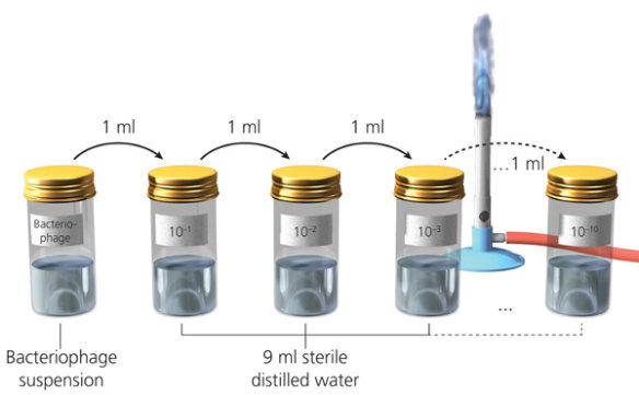 MT Feb 2013 10 Schoolzone Experiment 1