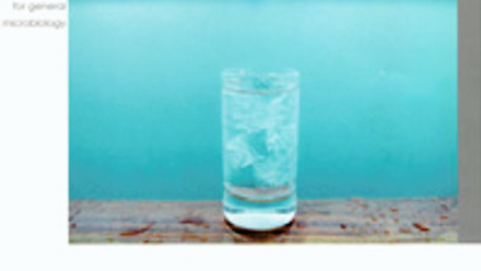 Cover of Microbiology Today, issue of August 2007