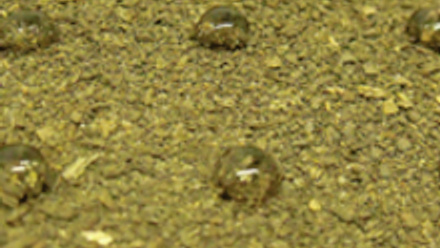 MT May 2015 microbial modulation water repellent soil