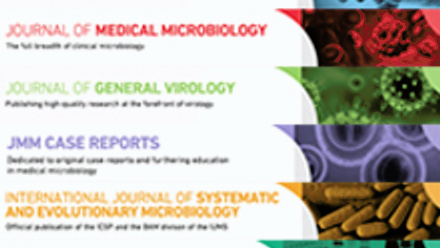 MT Nov 2016 journal banners continuous pub