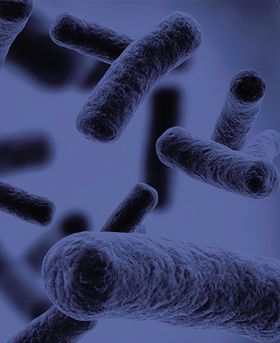 3D illustration of bacteria floating in a blue environment.