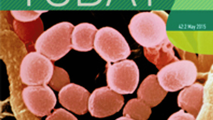 Cover of Microbiology Today, issue of May 2015
