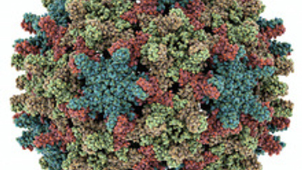 MT Feb 2013 McKeating C0142313