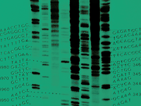 Journal of General Virology branding
