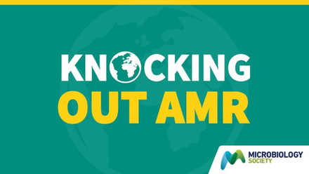 KOAMR Logo.jpg.jpg 1