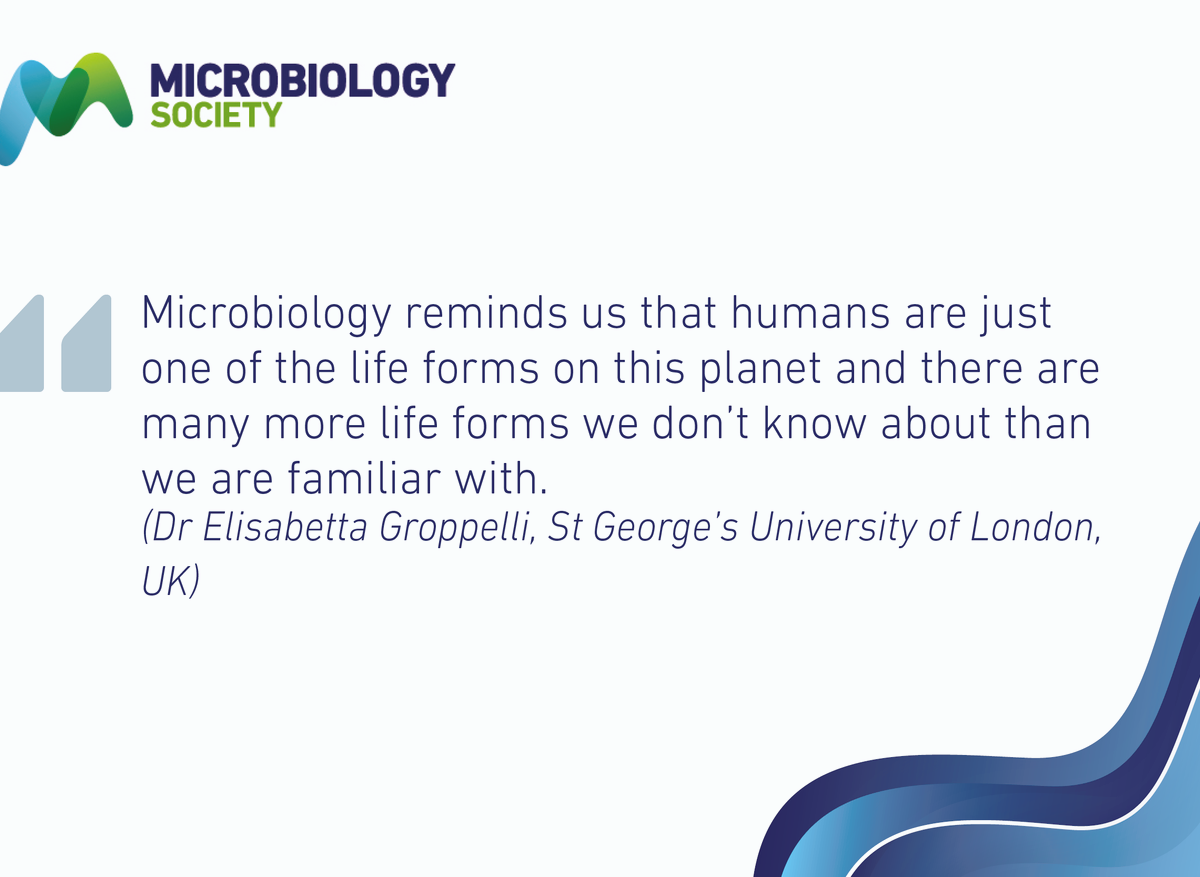 Dr Elisabetta Groppelli