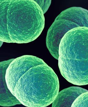 Microscopic image showing multiple green particles scattered on a dark background resembling cellular structure.