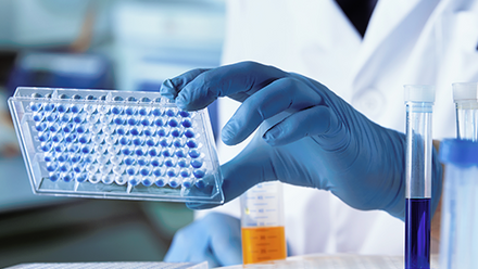 Scientist in gloves and a lab coat holding a microplate with blue samples, working at a busy lab bench