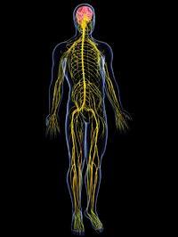 iStock/pixologicstudio