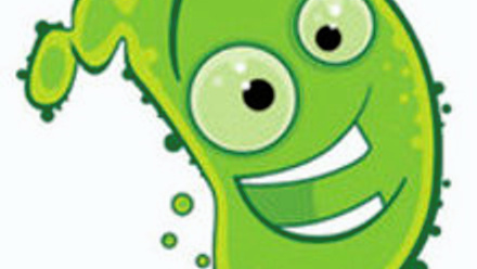 MT Feb 2013 Good bugs 1