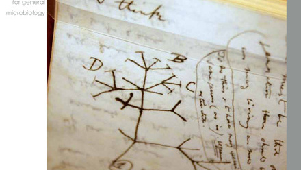 Cover of Microbiology Today, issue of May 2009