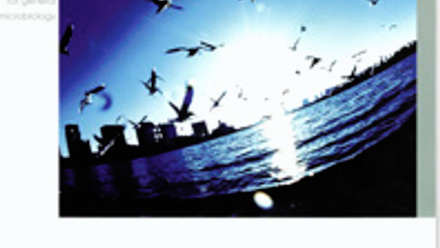 Cover of Microbiology Today, issue of November 2005