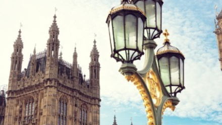 Policy blog thumb.jpg