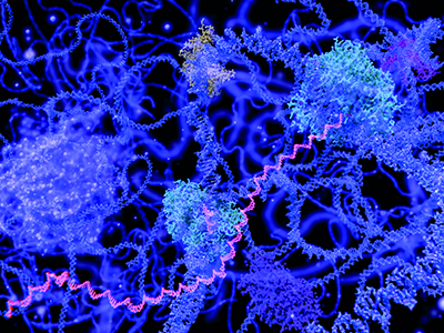 Multiple purple-like fibres tangled on a black background.