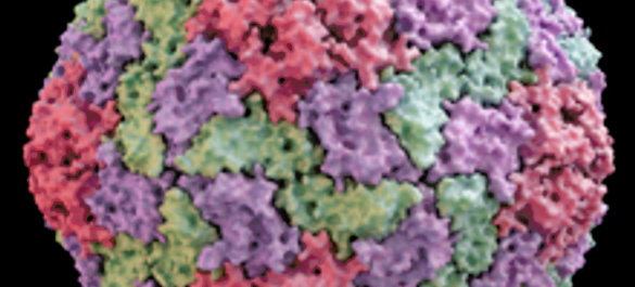 Colourful image of a virus