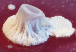 MT Aug 2013 Park Fig 2