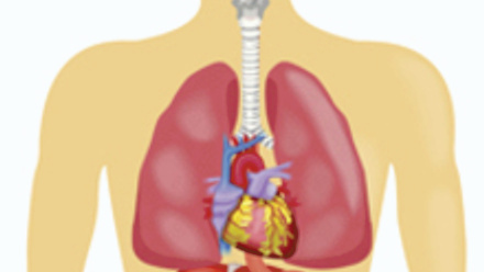 MT May 15 time of death thanatomicrobiome