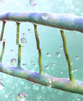 Microscopic illustration of cell structure in light blue background.