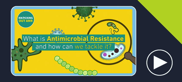 What is Antimicrobial Resistance (AMR) and how can we tackle it? video thumbnail
